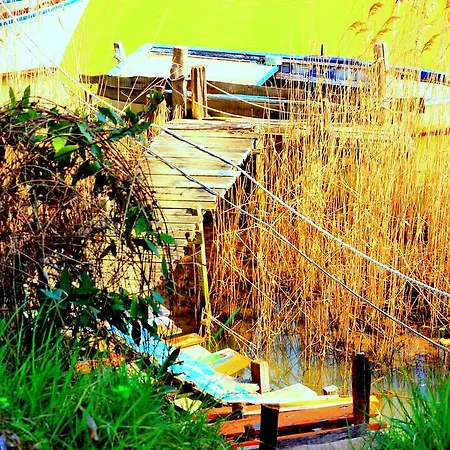 Guest house Park *