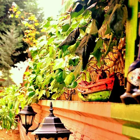 Park 게스트하우스