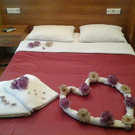 Guest house Park *